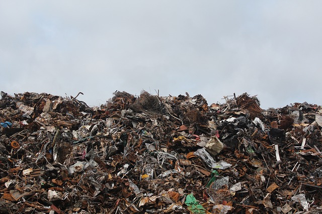 Zrównoważone rozwiązania w gospodarce odpadami: Wykorzystanie śrutownika, bakterii do szamba i wysłodków buraczanych