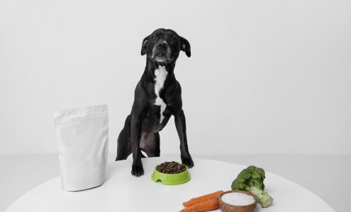Jak wpływa dieta bogata w drób na zdrowie i samopoczucie psa