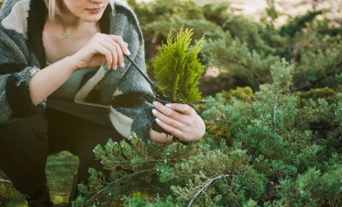 Twój zielony kącik – jak ogród wpływa na twoją samoświadomość i rozwój
