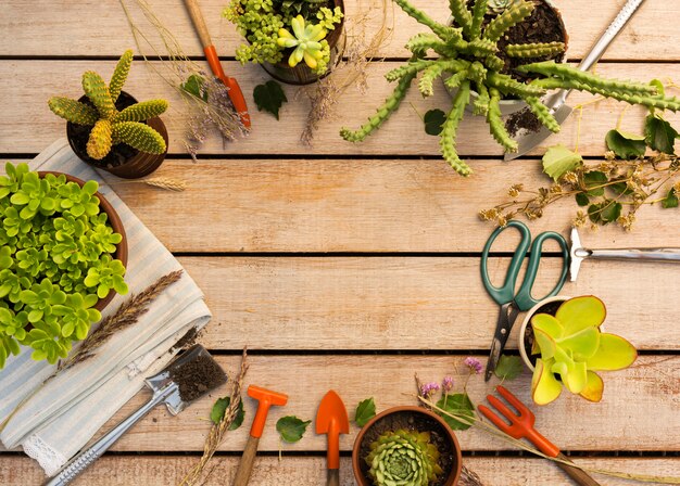 Porady dla ogrodników: odżywianie wspierające prace w ogrodzie
